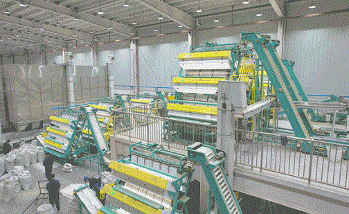 1762761442368289.jpg 6.jpg