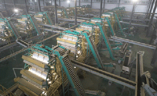 1762761453374032.jpg 7.jpg