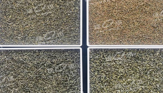 Le trieur de couleurs DF améliore la qualité et l'efficacité du thé Xixiang.
