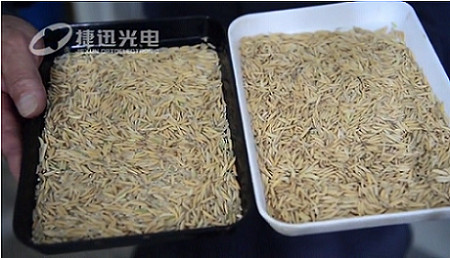 Comment résoudre le taux étonnamment élevé de transformation du riz ? --- partie 2