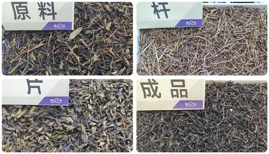 Quel modèle de trieuse de couleurs de thé peut réellement atteindre les performances de tri « Haute capacité, faible casse et nettoyage unique » ?
        