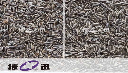 Qui aide le fournisseur de qualité alimentaire Qiaqia, Tenghongyuan Trade, à diriger la nouvelle ère de la qualité ?
