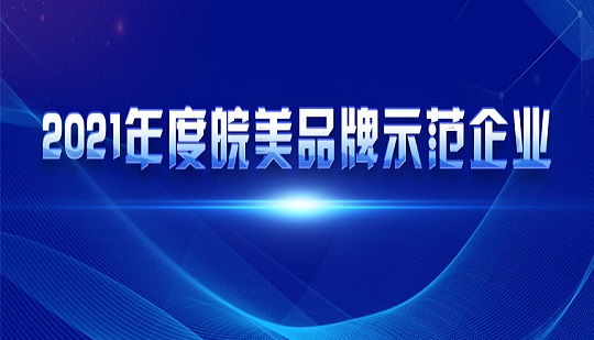 Anysort a été sélectionnée comme entreprise de démonstration de la marque Anhui Perfect 2021 !