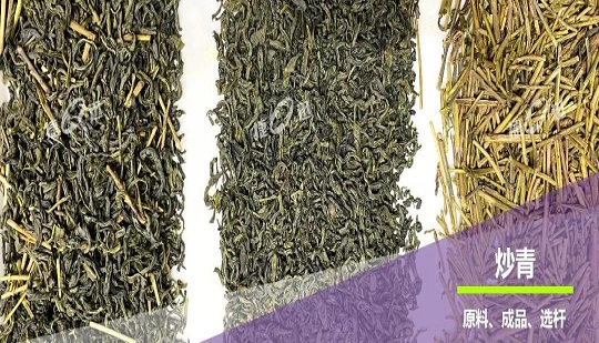 2021 China International Autumn Tea Industry Expo | Attaques de sagesse de tri des couleurs dans le nuage