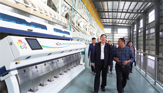 Entrez dans une ligne de production intelligente adoptant la technologie de tri Jiexun
    